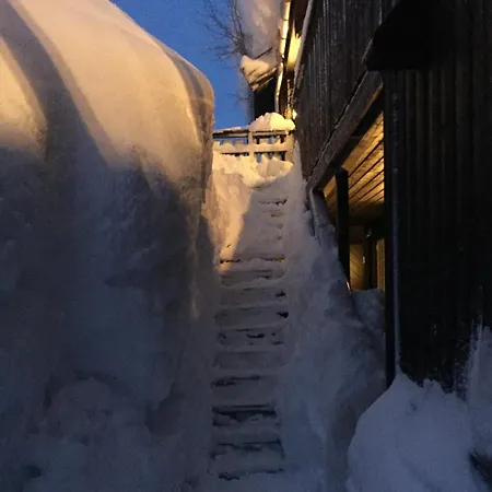 Mountain Roldal Alpine Center Leilighet Horre