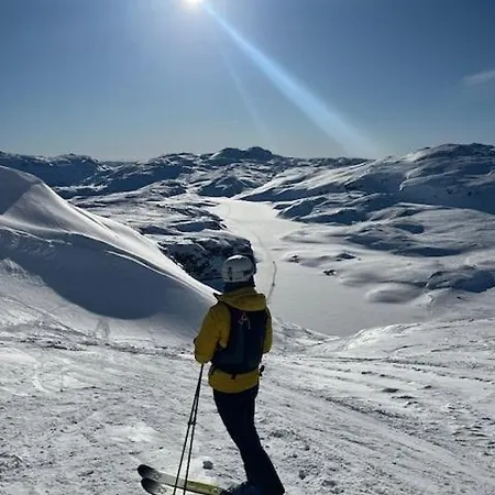 Mountain Roldal Alpine Center * Horre