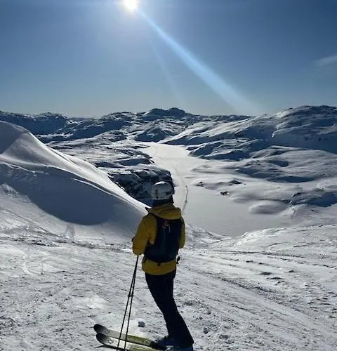 Mountain Roldal Alpine Center * Horre