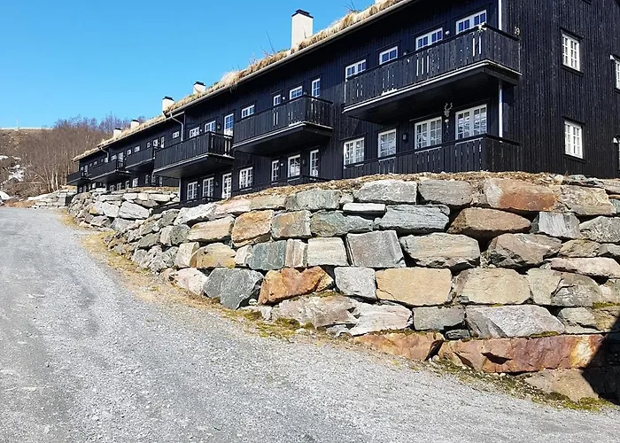 Apartament Mountain Roldal Alpine Center *